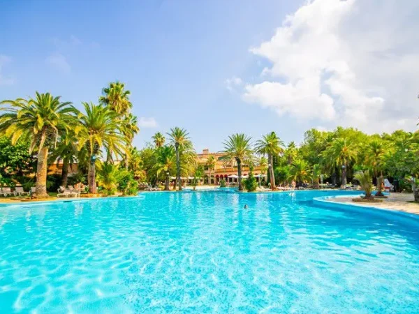Camping-la-torre-del-sol