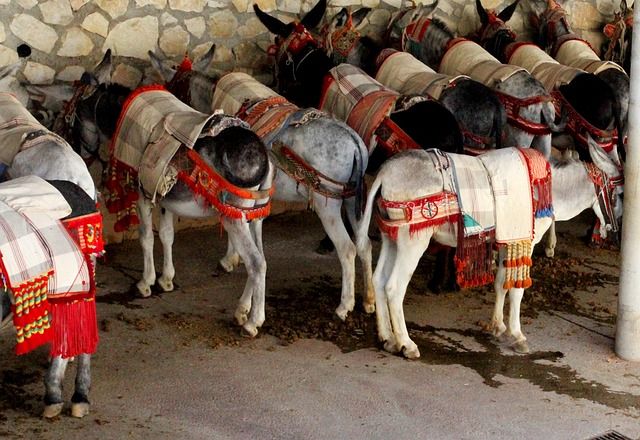 Fiestas en Andalucía: Festividades que No Debes Perderte