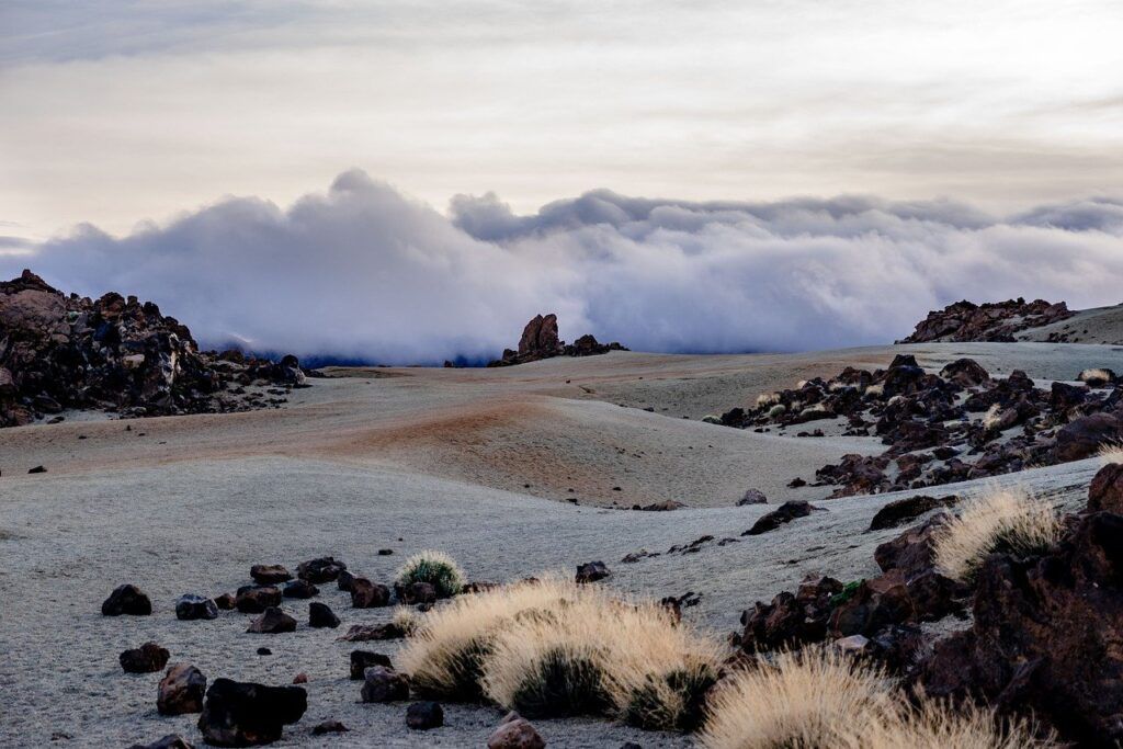qué isla canaria visitar
