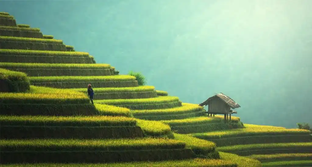 viajar a Bali