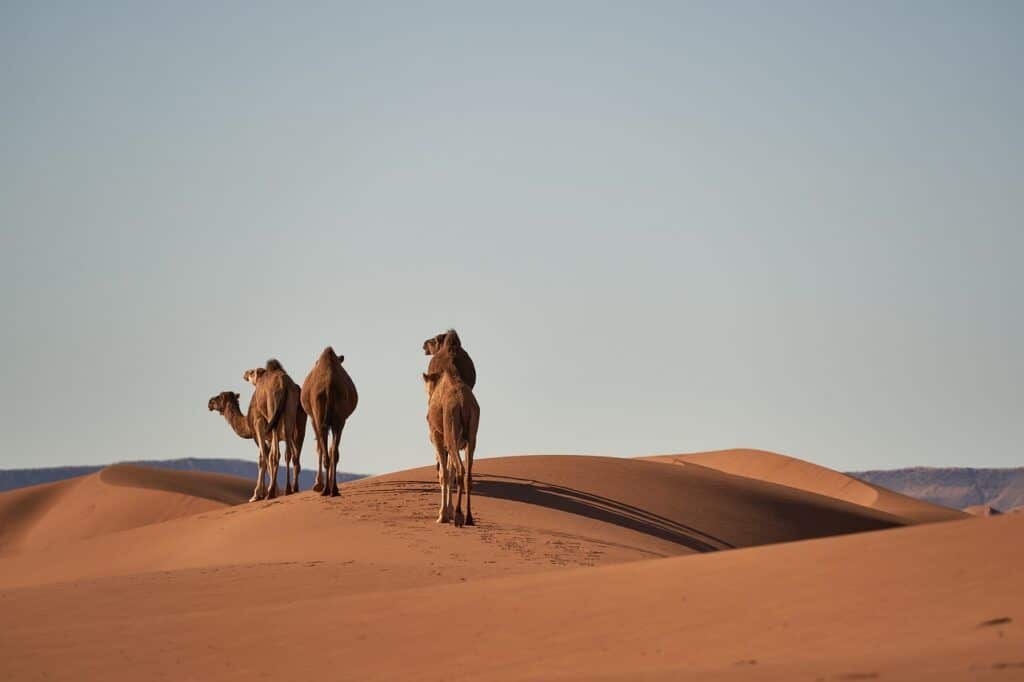 escapada a Marruecos
