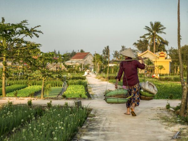 🏨¡Escapa a la serenidad de Hoi An en Lime Villa Hoi An! 🌴✨
