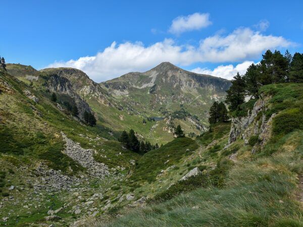 🏔️🌲¡Sumérgete en la magia de los Pirineos y disfruta del Hotel Cims de Camprodon! 🏔️🌲
