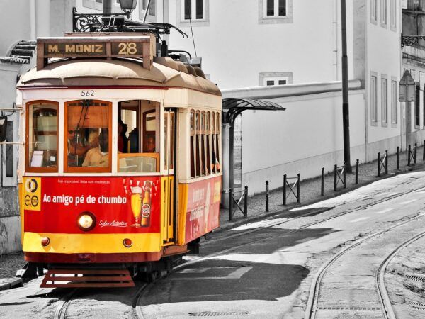 🏙️🌳¡Descubre Lisboa desde el corazón de la ciudad en el Hotel Avenida Park! 🏙️🌳