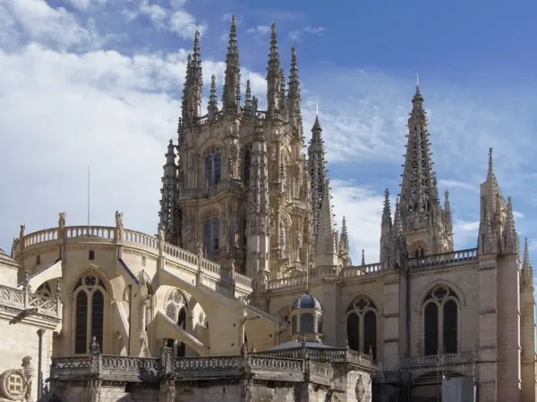 🏰¡Descubre la comodidad y tranquilidad de la Abadía Burgos Camino Santiago! 🏨🌿