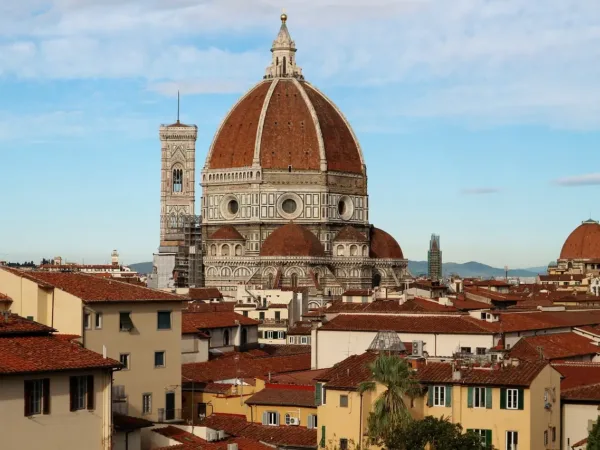 🌹🏛️¡Descubre Florencia con el Encanto de Together Florence Inn! 🌹🏛️
