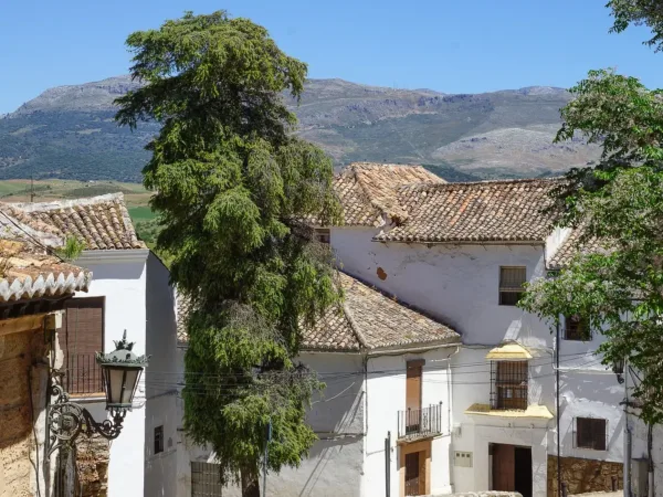 🥾Descubre Ronda: Una Escapada Inolvidable en el Hotel Morales! 🏨✨