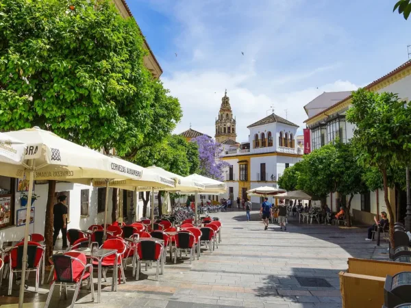 🏛️ ¡Explora el Encanto de Córdoba desde el Rincón Dorado! 🌟